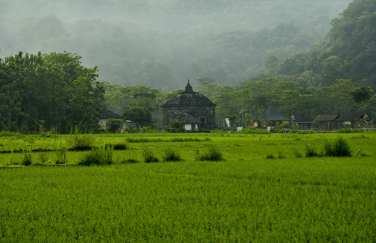 隆福寺，历史与现代的交融胜地